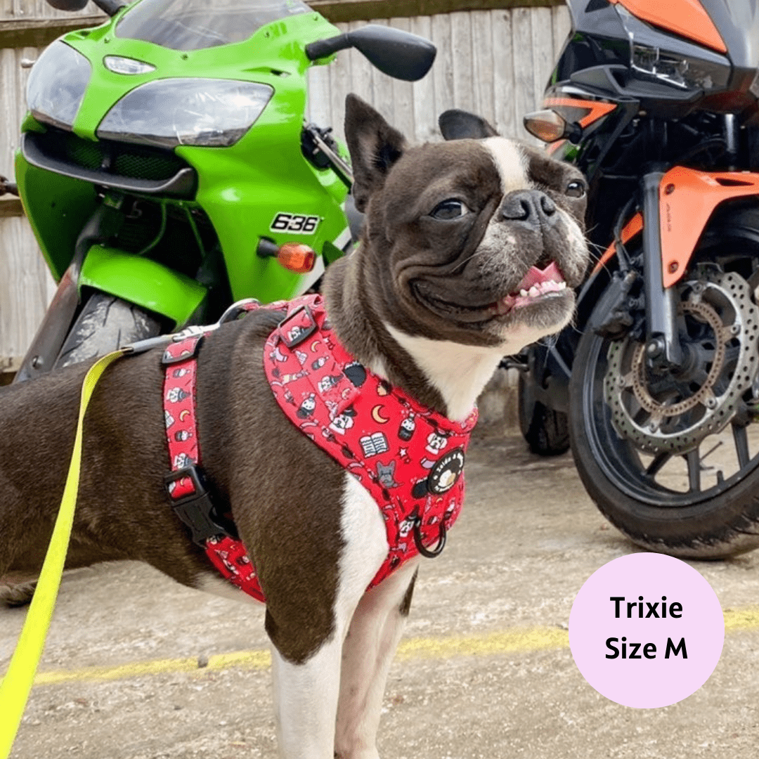 Hairy Pawter No Pull Adjustable Dog Harness