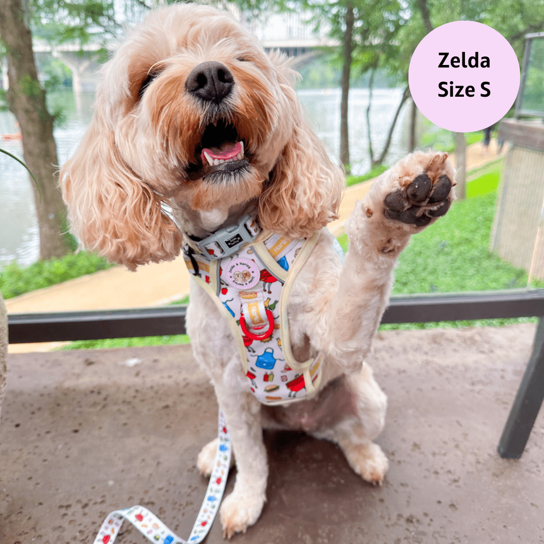 Zelda & Harley Harness Hot Dawg - Adventure No Pull Harness