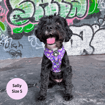 Zelda & Harley Harness Muttallica - No Pull Adjustable Dog Harness