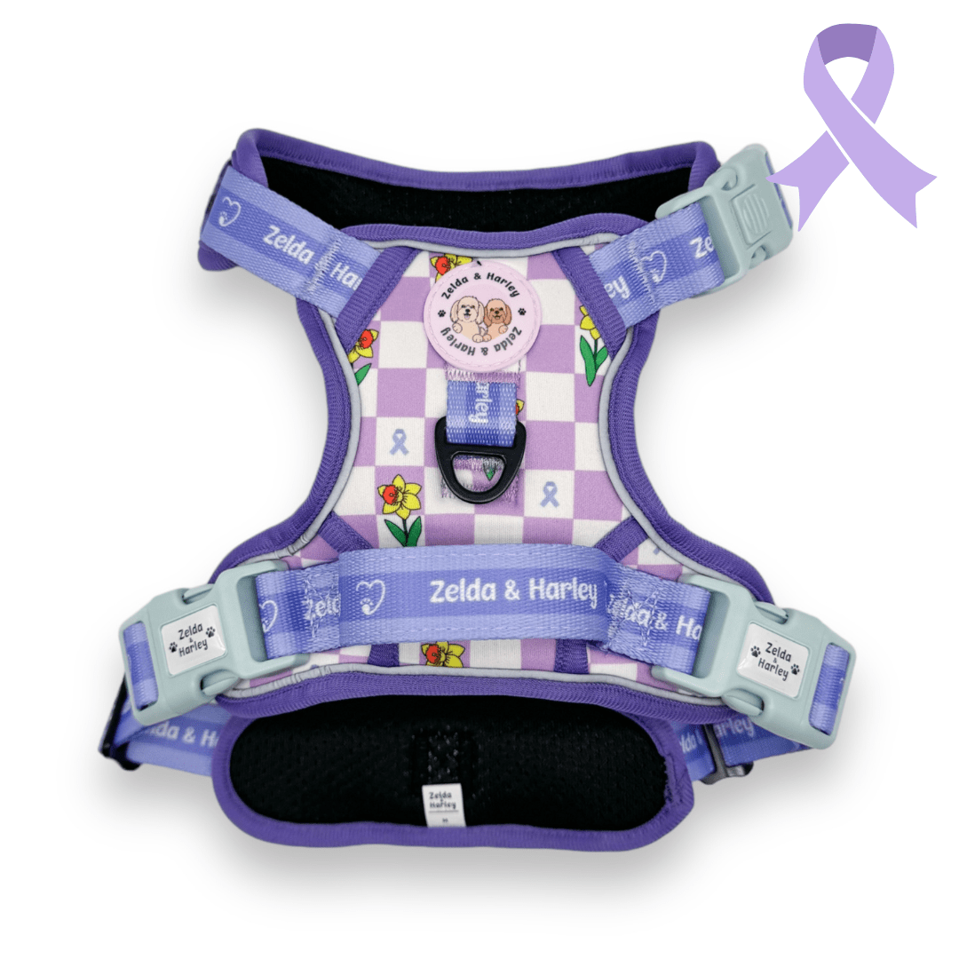 Zelda & Harley Harness Paws for a Cause - Adventure No Pull Harness