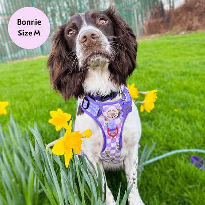 Zelda & Harley Harness Paws for a Cause - Adventure No Pull Harness
