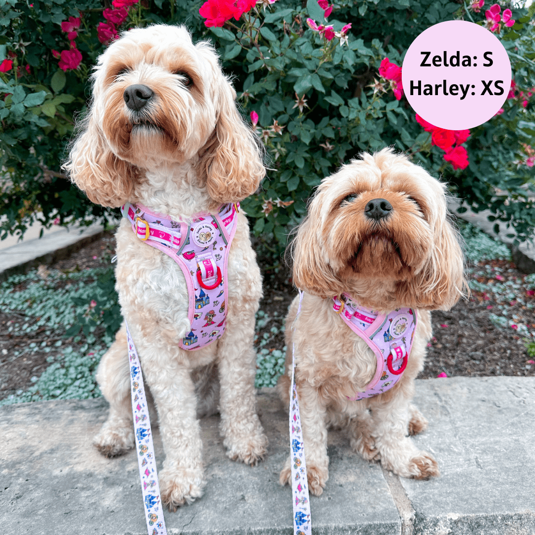 Zelda & Harley Harness Sleeping Cutie - Adventure No Pull Harness