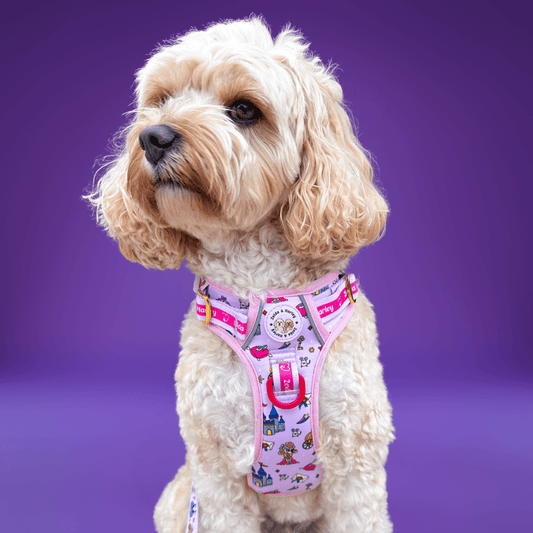 Cute Dog Harnesses Free Shipping The Dog Mom Store