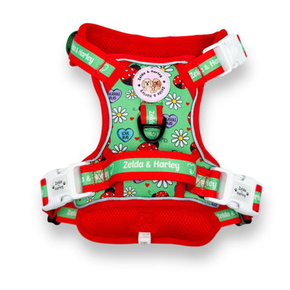 Zelda & Harley Harness Snuggle Bug - Adventure No Pull Harness