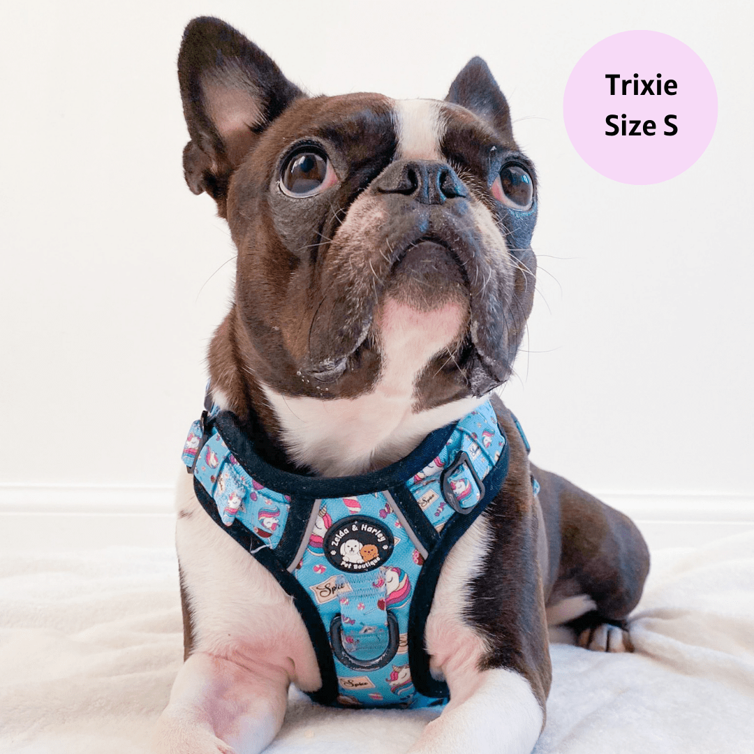 Zelda & Harley Harness Sugar, Spice, and Everything Nice - Adventure No Pull Harness