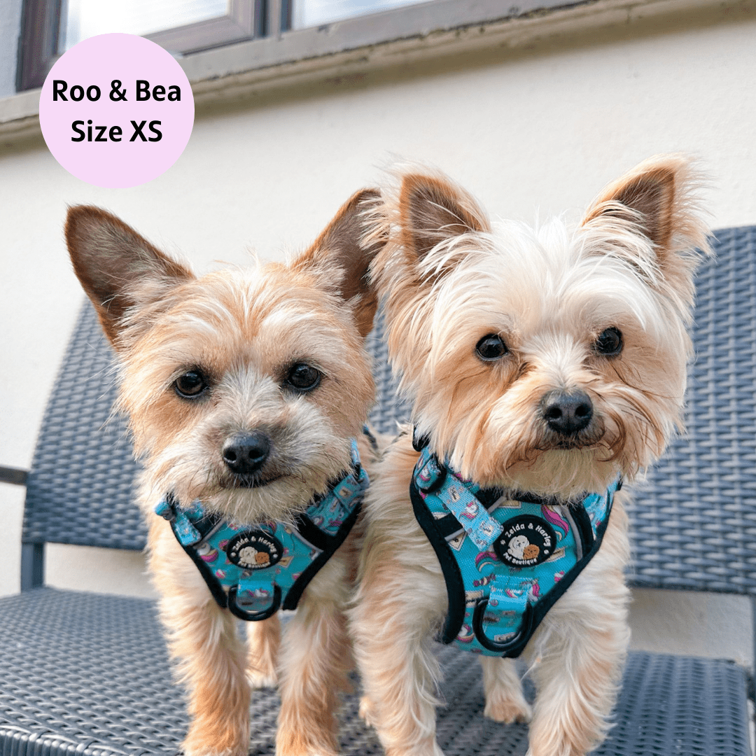 Zelda & Harley Harness Sugar, Spice, and Everything Nice - Adventure No Pull Harness