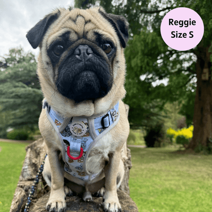 Zelda & Harley Harness Woofsday - Adventure No Pull Harness