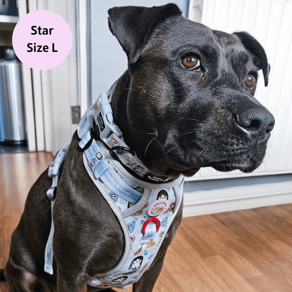 Zelda & Harley Harness Woofsday - Adventure No Pull Harness