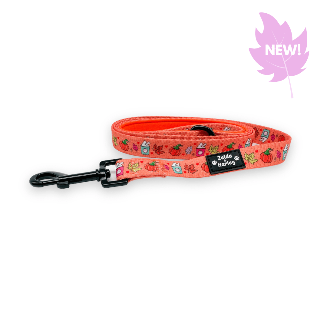 Zelda & Harley Lead Pupkin Spice Leash