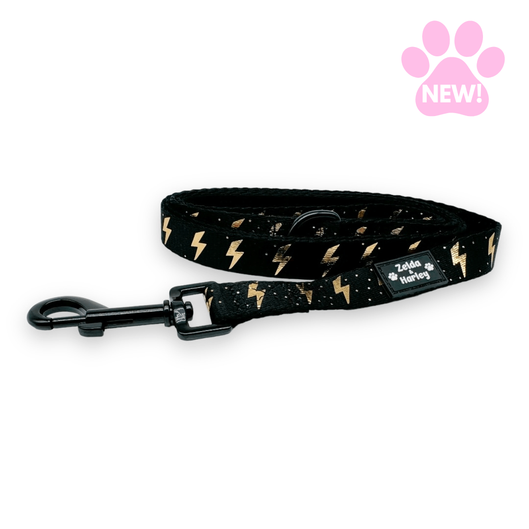Zelda & Harley Lead ThunderPaws Leash