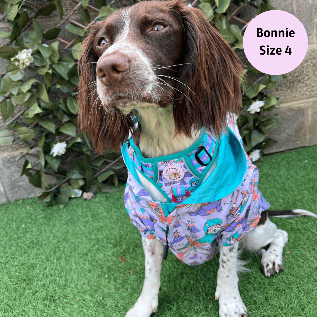 Doggosaurus Rex Reversible Dog Raincoat – The Dog Mom Store. Doggosaurus Rex Reversible Dog Raincoat – The Dog Mom Store.