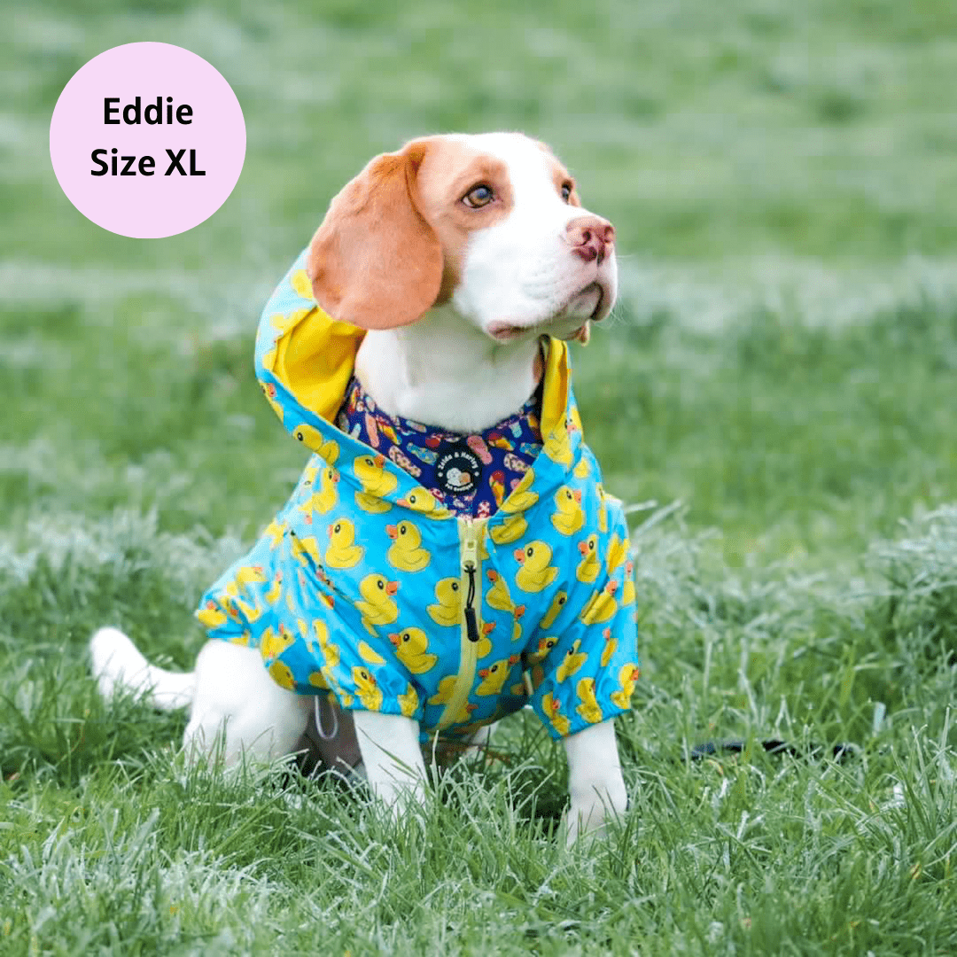 Zelda & Harley Raincoat Rubber Duckie Reversible Dog Raincoat