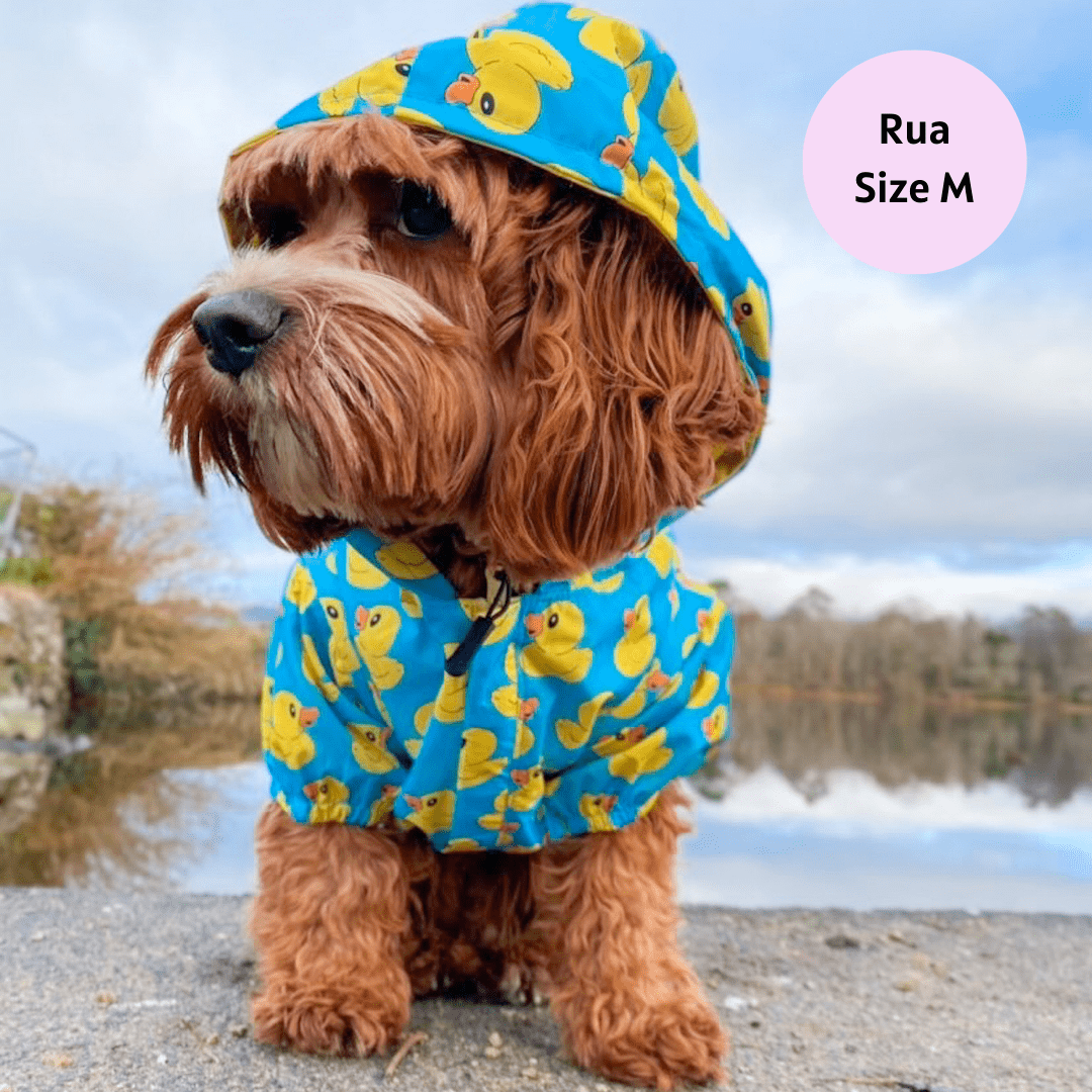Zelda & Harley Raincoat Rubber Duckie Reversible Dog Raincoat
