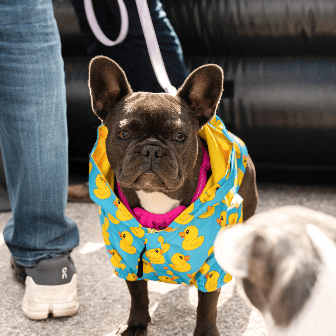 Zelda & Harley Raincoat Rubber Duckie Reversible Dog Raincoat