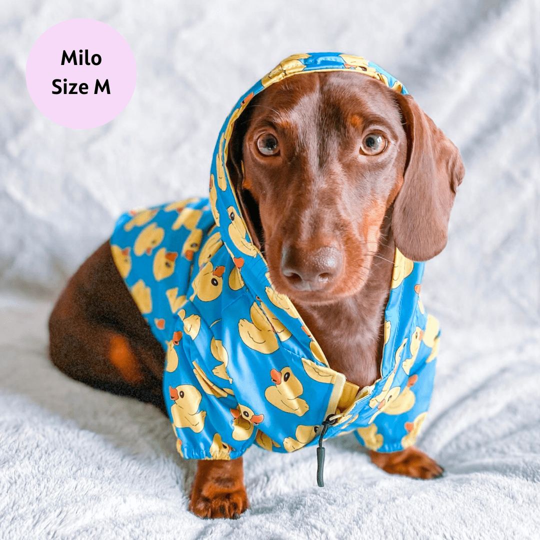 Rubber Duckie Reversible Dog Raincoat Blue The Dog Mom Store.