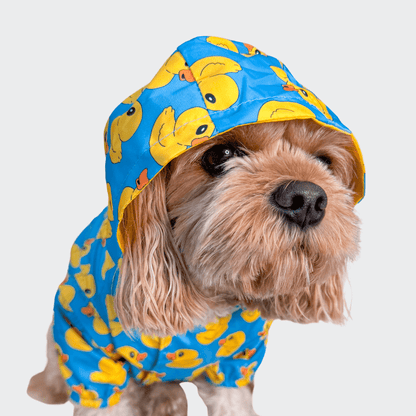 Rubber Duckie Reversible Dog Raincoat Blue Size 1