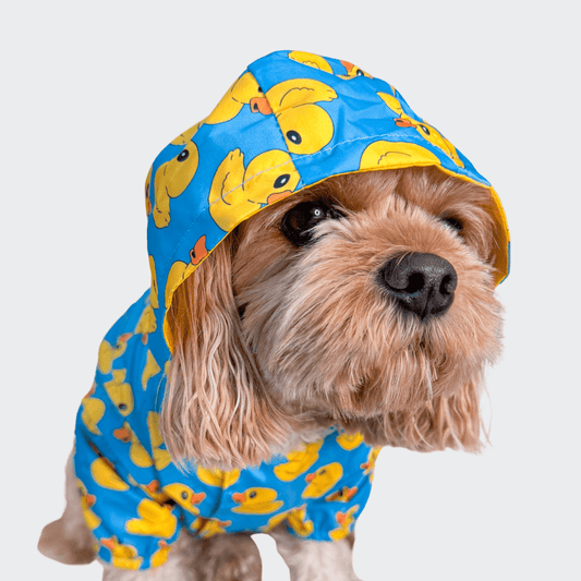 Reversible raincoats 2025