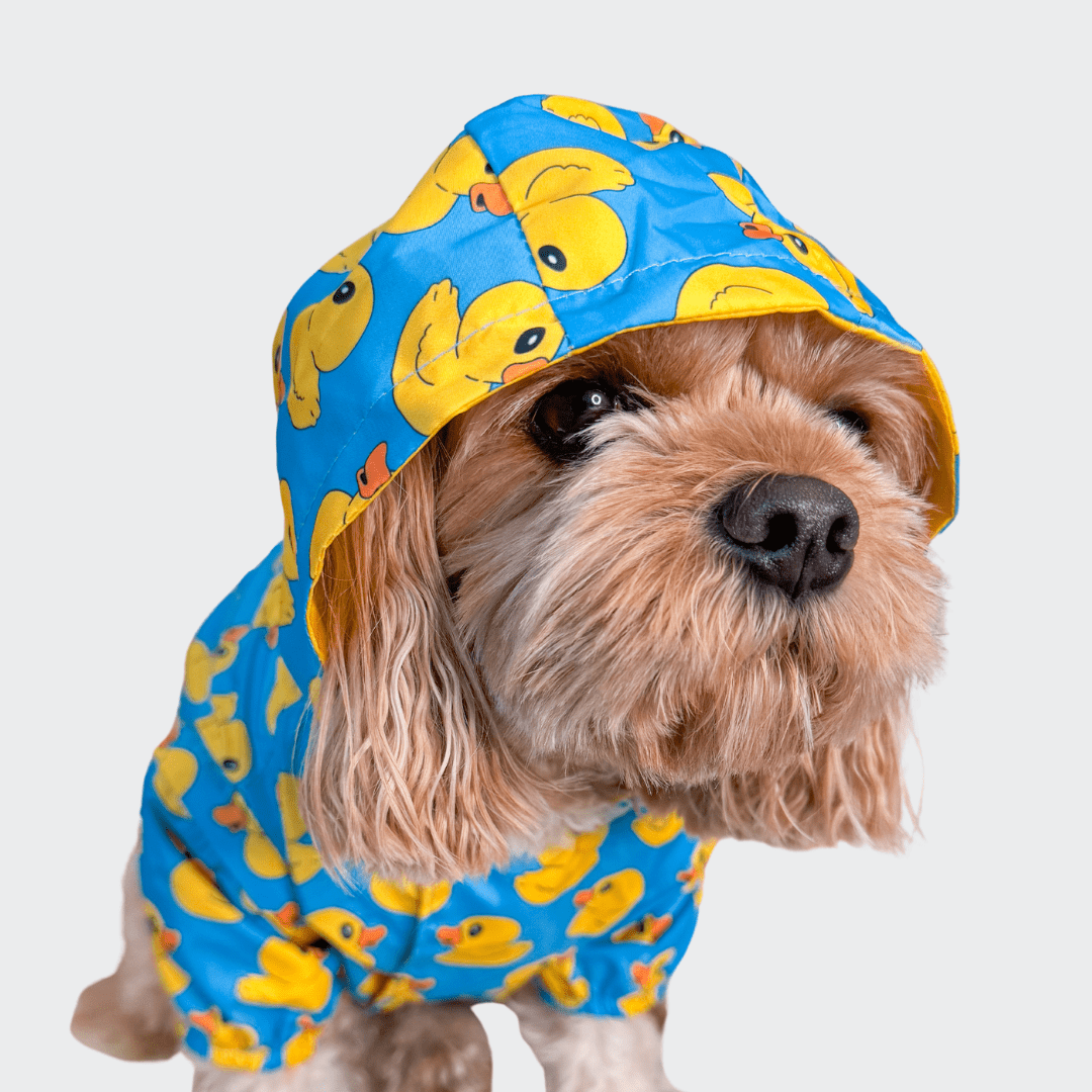 Zelda & Harley Raincoat Rubber Duckie Reversible Dog Raincoat = Blue