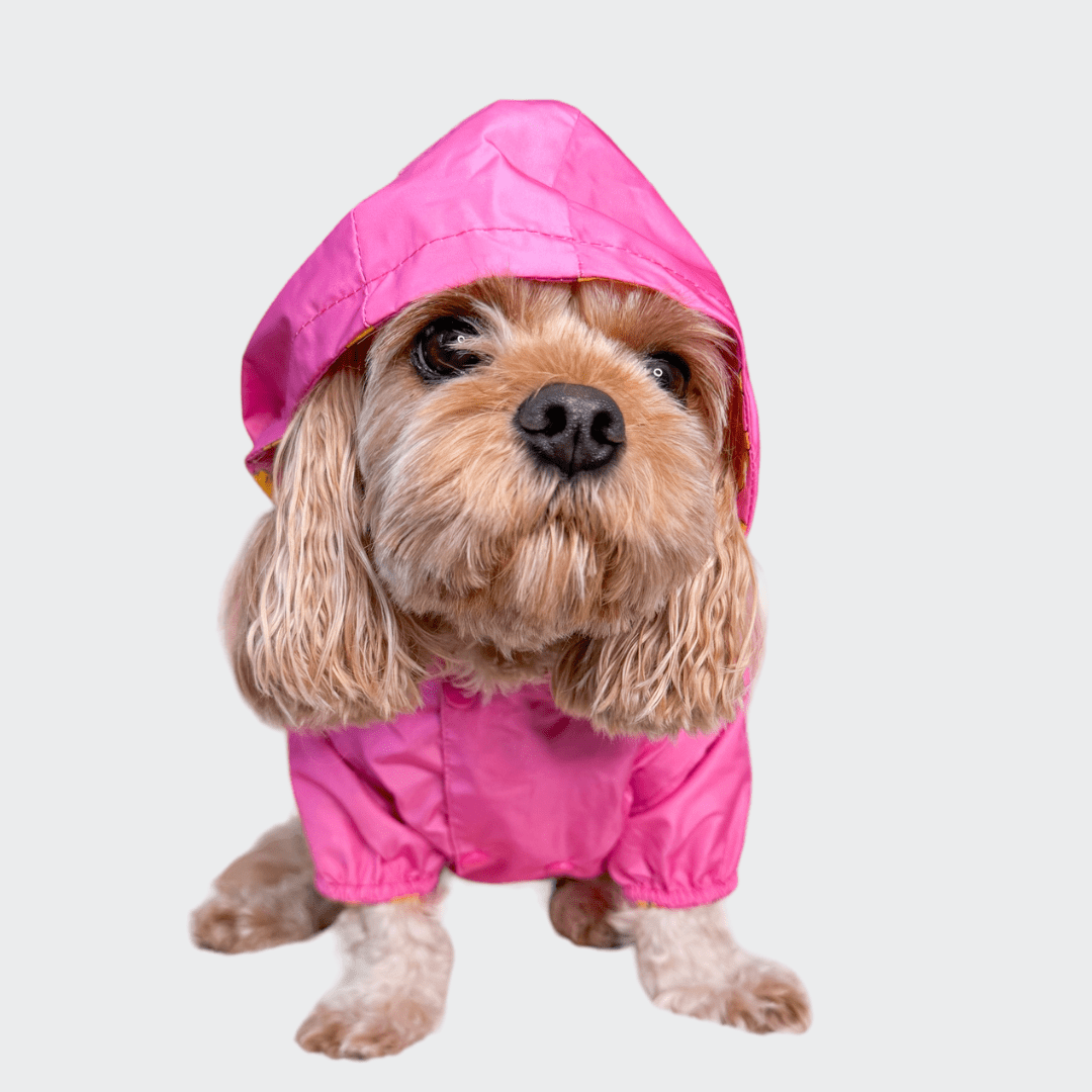 Zelda & Harley Raincoat Rubber Duckie Reversible Dog Raincoat - Pink