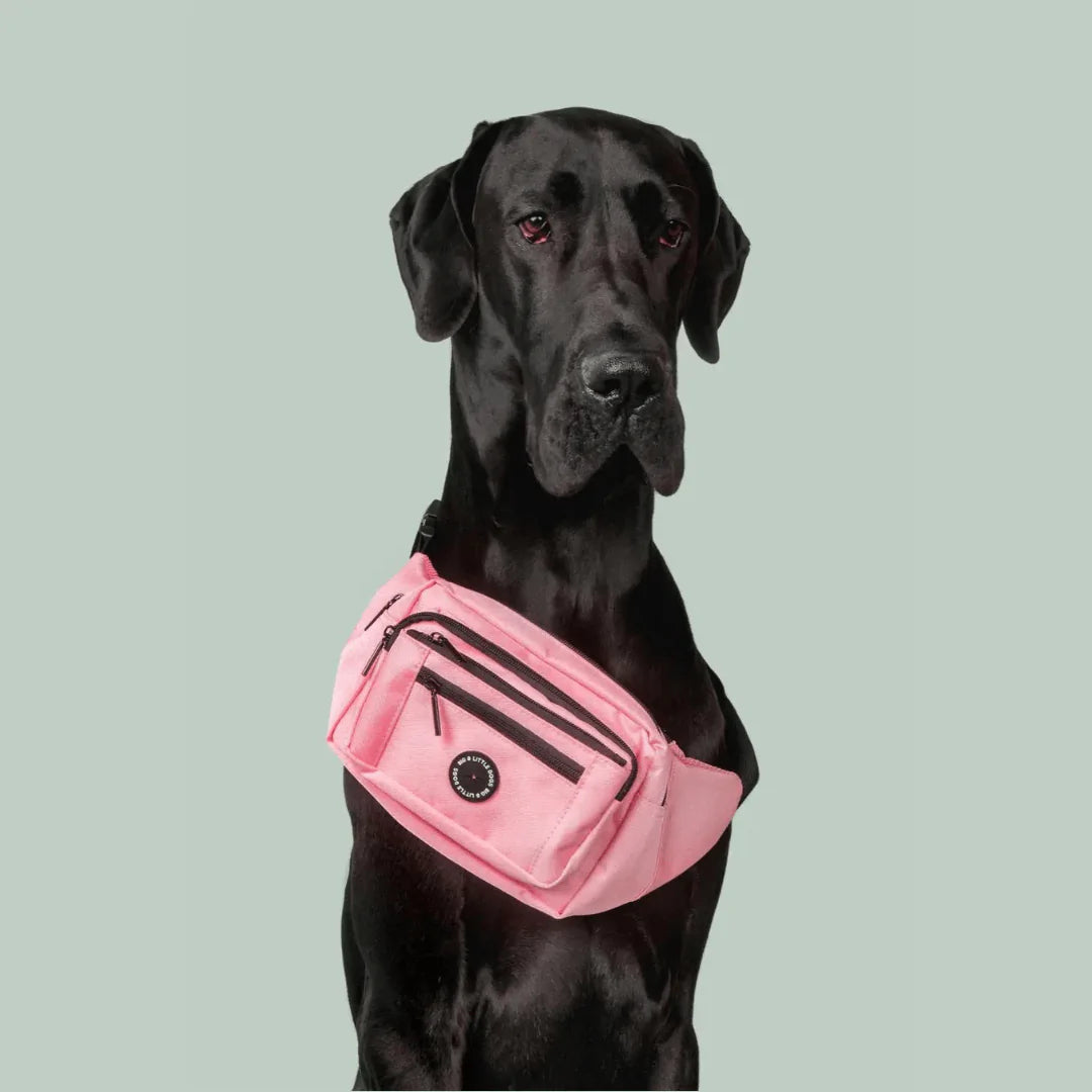 Big and Little Dogs Regular ON-THE-GO BUMBAG - Pink