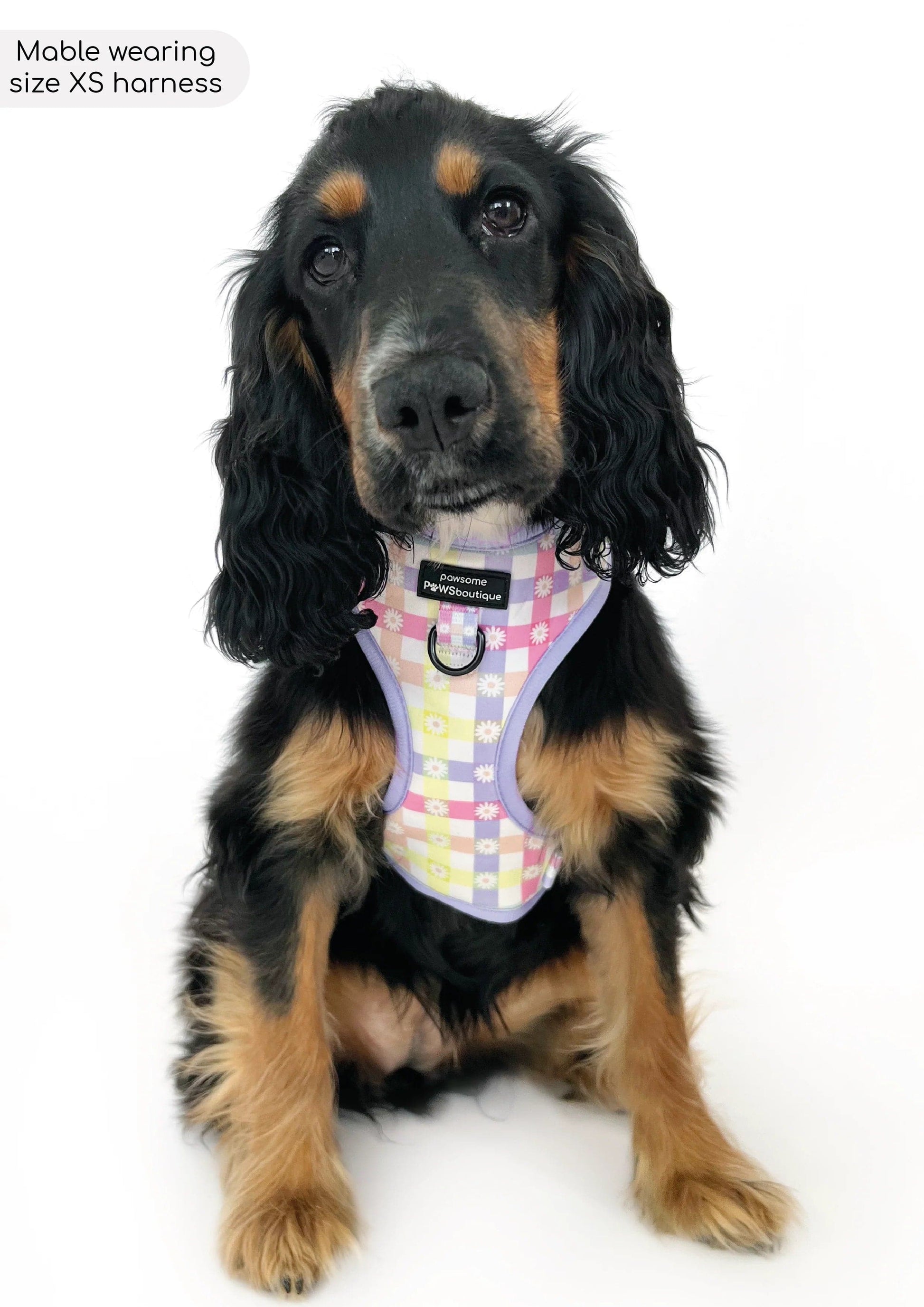 Pawsome Paws Boutique Harness Pastel Plaid - No Pull Adjustable Dog Harness