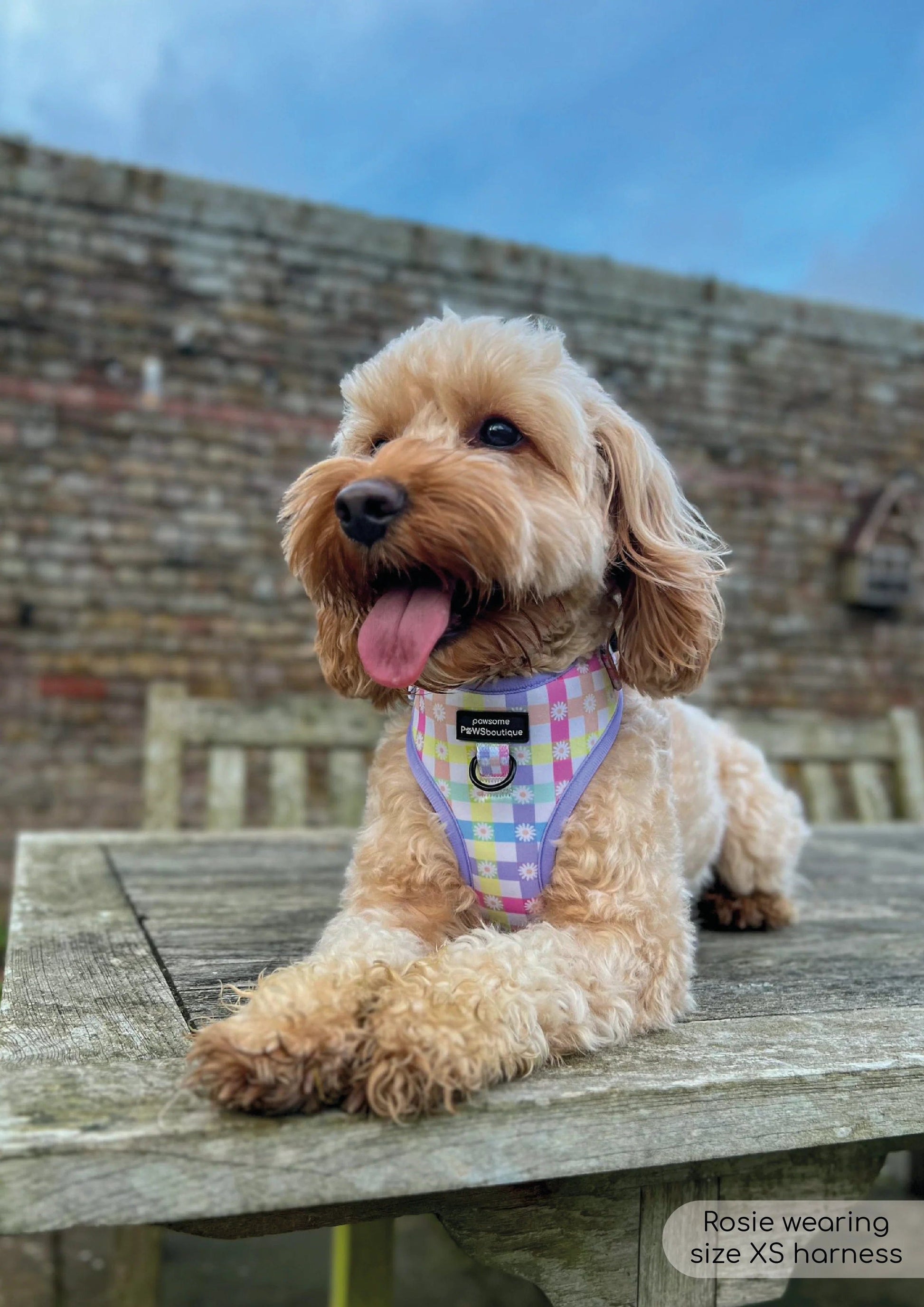 Pawsome Paws Boutique Harness Pastel Plaid - No Pull Adjustable Dog Harness