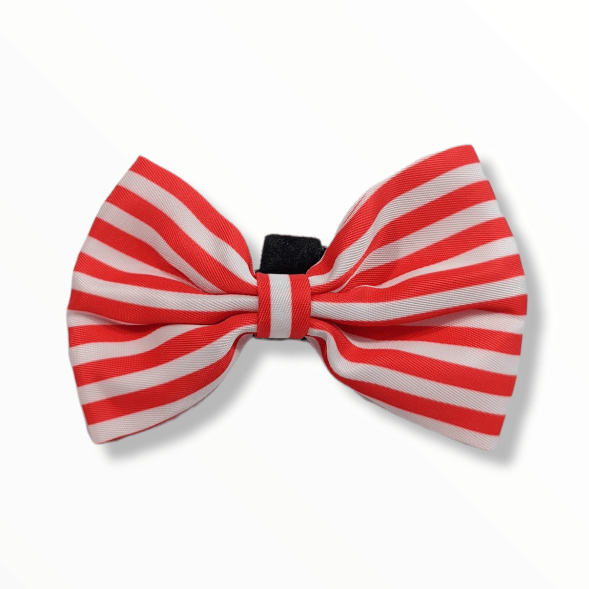 Zelda & Harley Bow Stripes Bow Tie