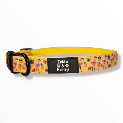 Zelda & Harley Collar Club Pupicana Collar