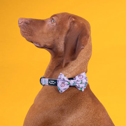 Zelda & Harley Collar Eau de Pupfume Dog Collar & Free Bow Tie