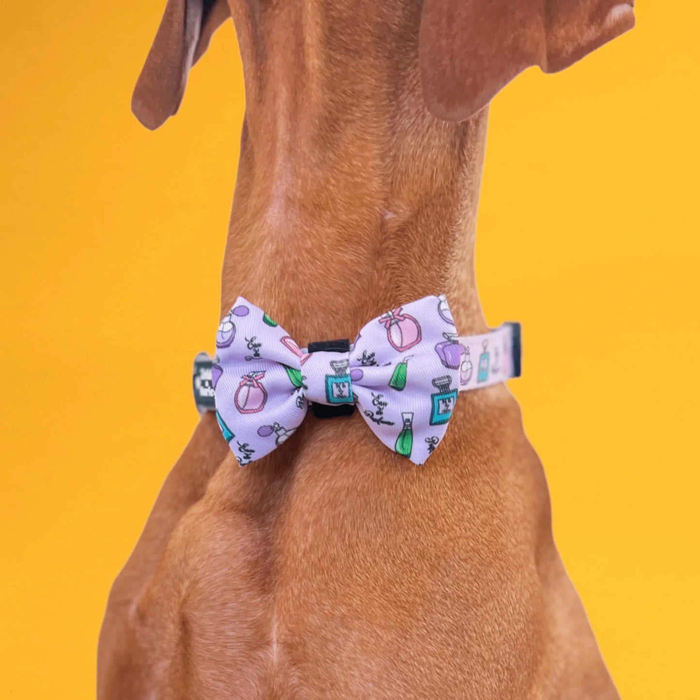 Zelda & Harley Collar Eau de Pupfume Dog Collar & Free Bow Tie
