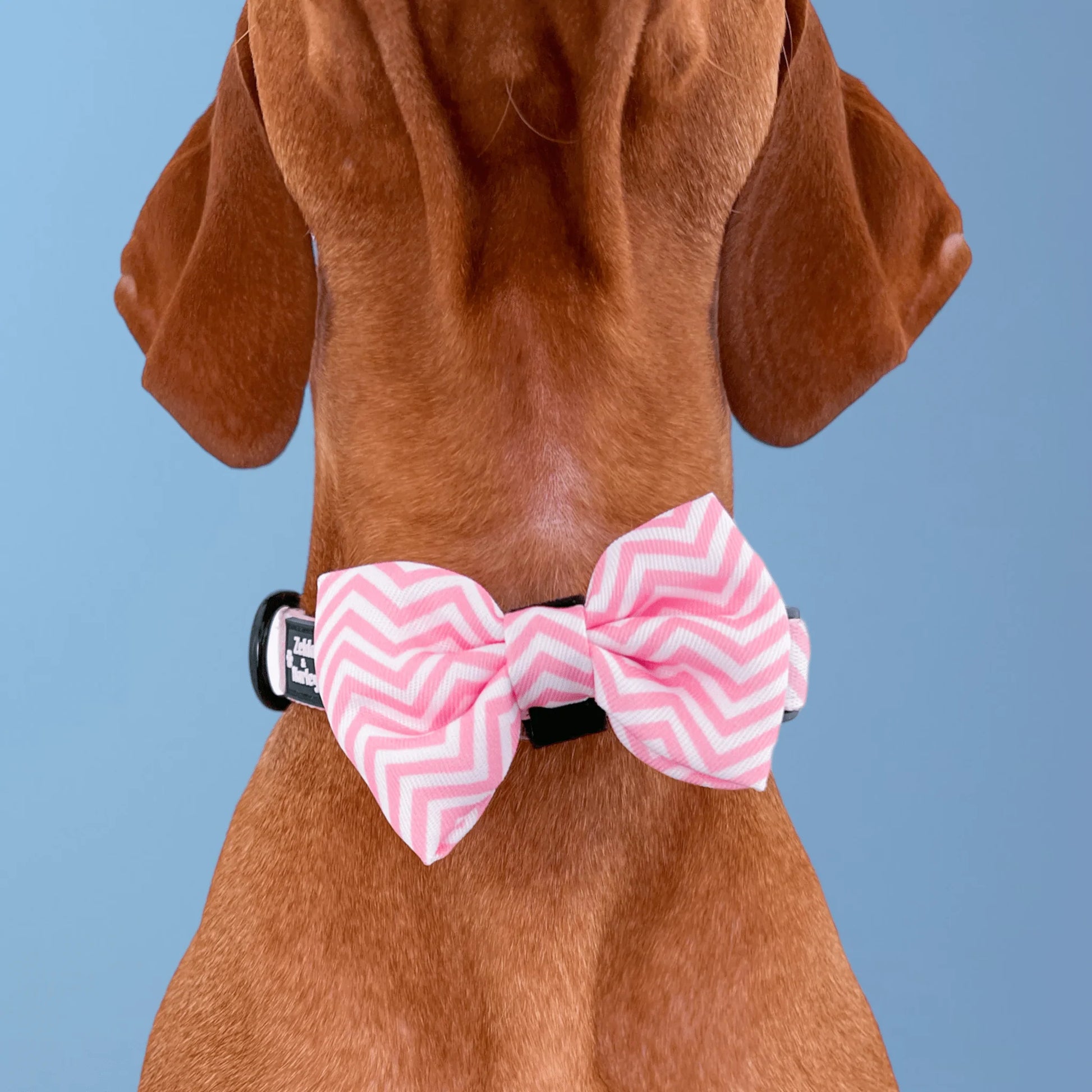 Zig Zag Wag Dog Collar Free Bow Tie Pastel Pink