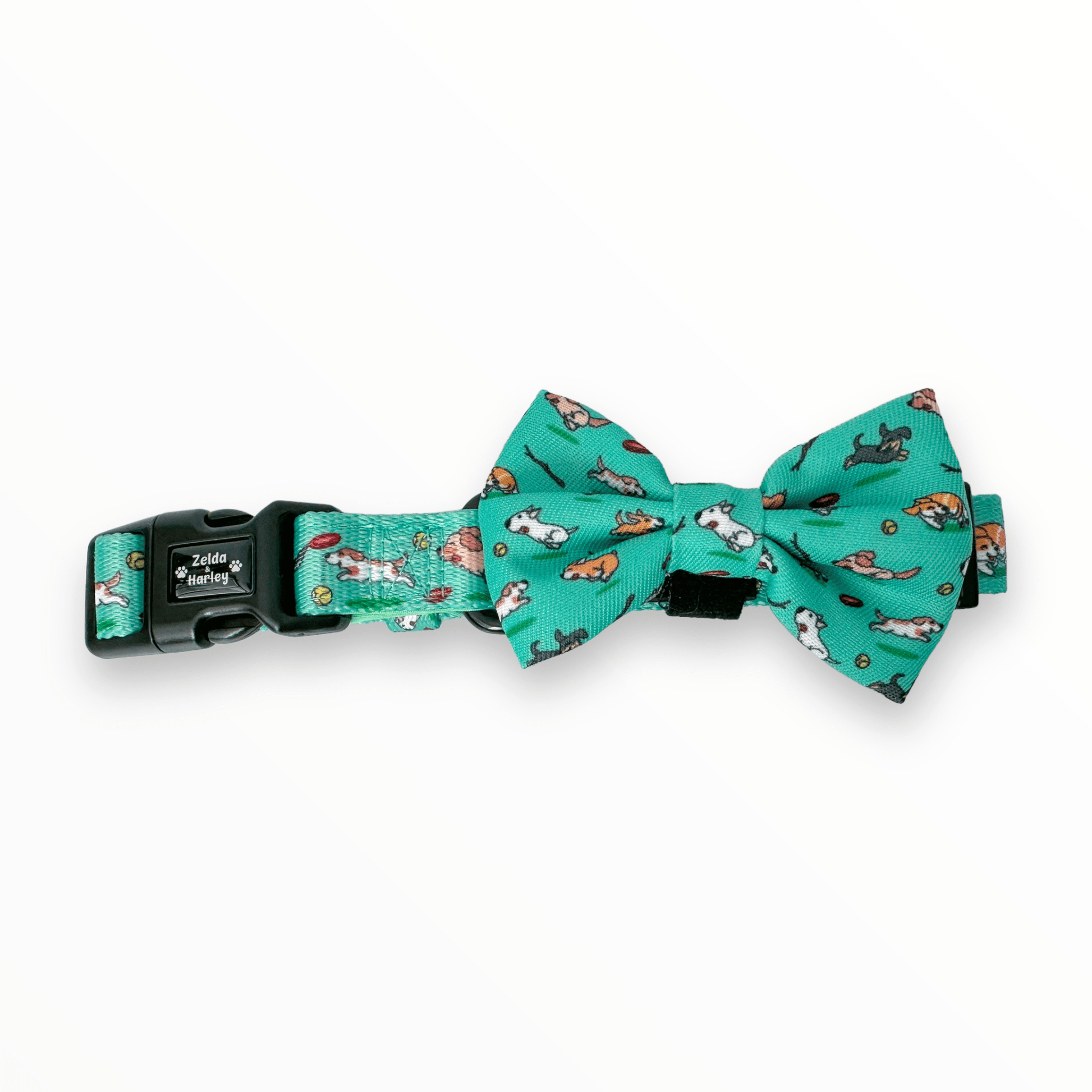 Zelda & Harley Collar Zoomies Dog Collar & Free Bow Tie