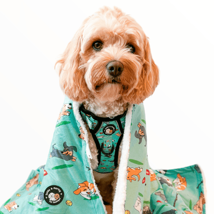 Zelda & Harley Dog Blanket Zoomies Dog Blanket
