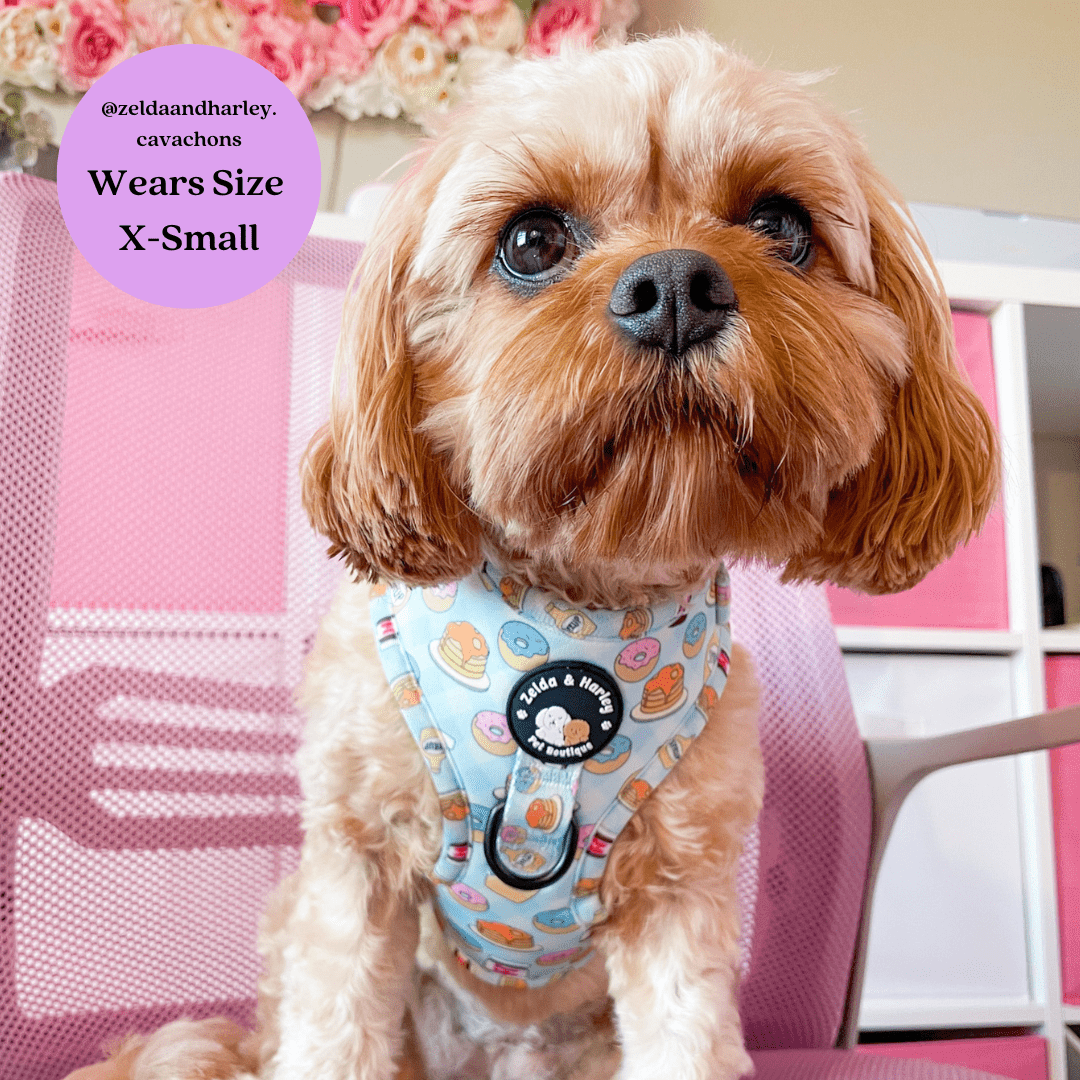 Barking Brunch No Pull Adjustable Dog Harness The Dog Mom Store