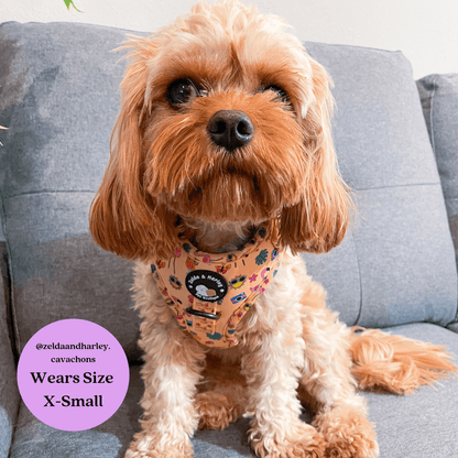 Monogram Dog Harness – Barknpup