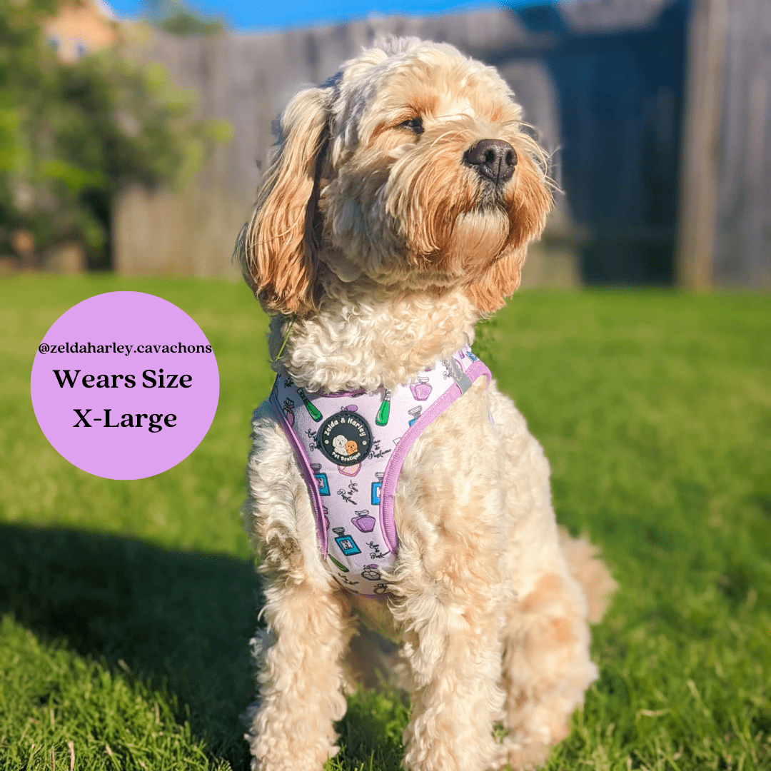 Eau de Pupfume Step in Dog Harness The Dog Mom Store