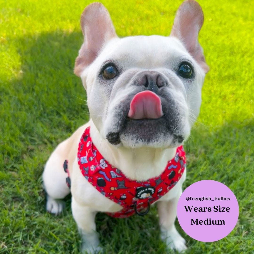 Zelda & Harley Harness Hairy Pawter - No Pull Adjustable Dog Harness