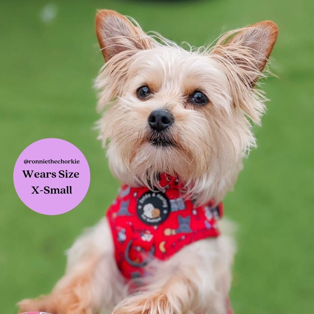 Zelda & Harley Harness Hairy Pawter - No Pull Adjustable Dog Harness