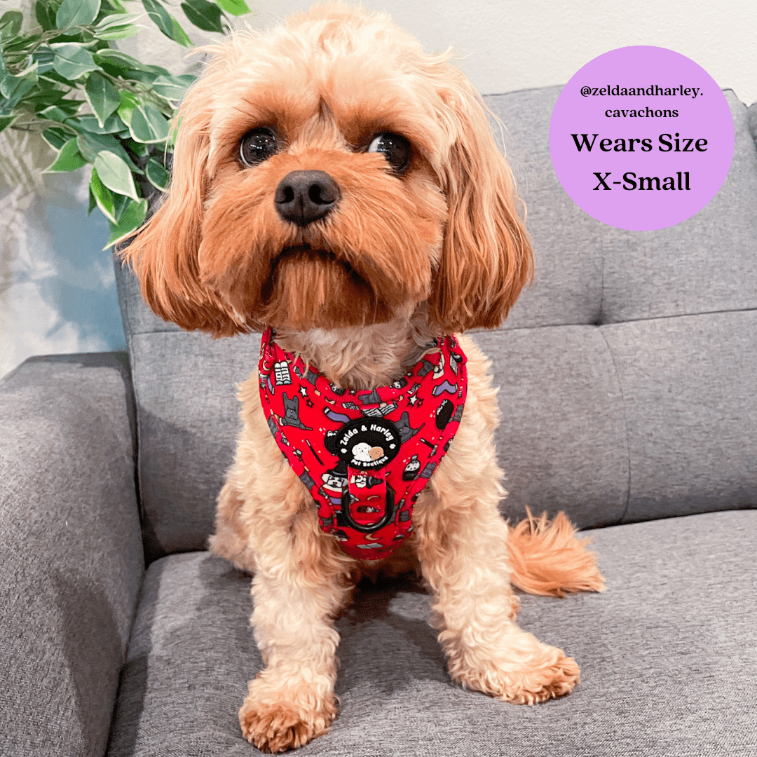 Zelda & Harley Harness Hairy Pawter - No Pull Adjustable Dog Harness