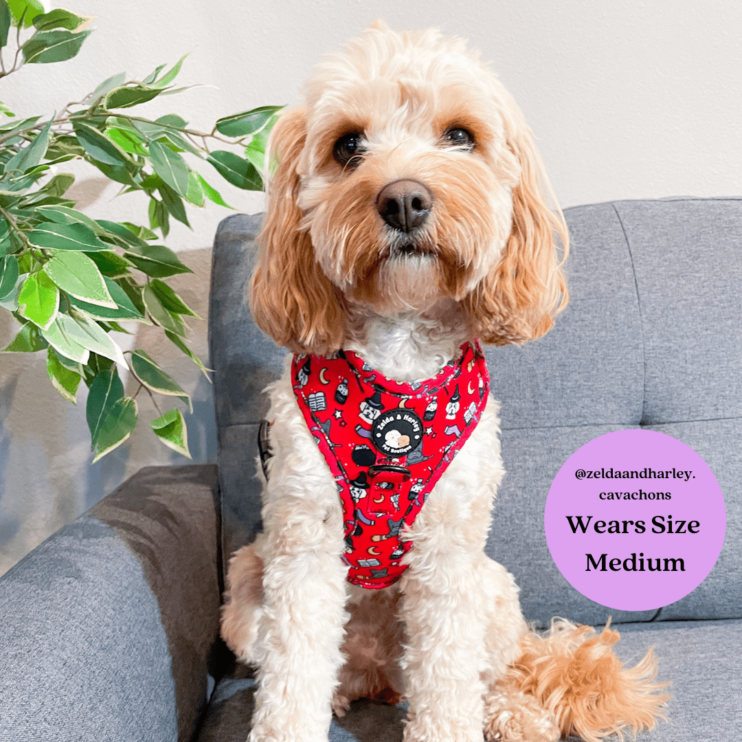 Zelda & Harley Harness Hairy Pawter - No Pull Adjustable Dog Harness