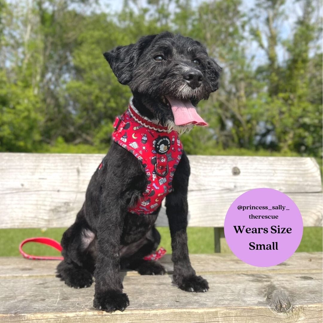 Zelda & Harley Harness Hairy Pawter - No Pull Adjustable Dog Harness