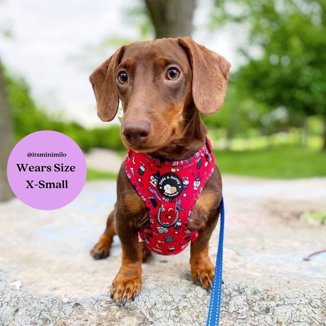 Zelda & Harley Harness Hairy Pawter - No Pull Adjustable Dog Harness