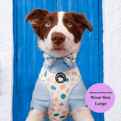 Zelda & Harley Harness Pastel Showers Reversible Harness