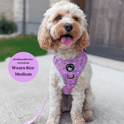 Hairy Pawter - No Pull Adjustable Dog Harness