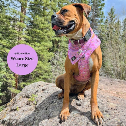 Zelda & Harley Harness Pink Paw-er - No Pull Adjustable Dog Harness