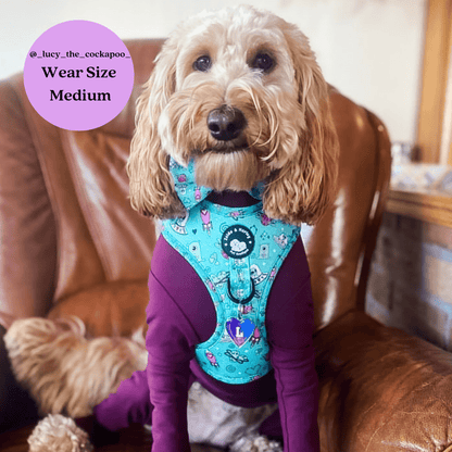 Zelda & Harley Harness Plutonic Pooch - No Pull Adjustable Dog Harness