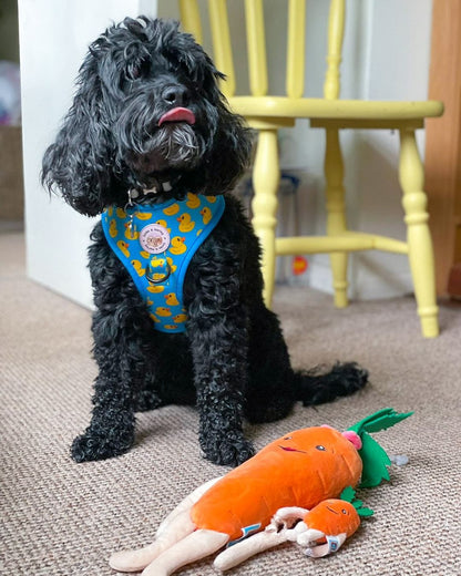 Zelda & Harley Harness Rubber Duckie - No Pull Adjustable Dog Harness