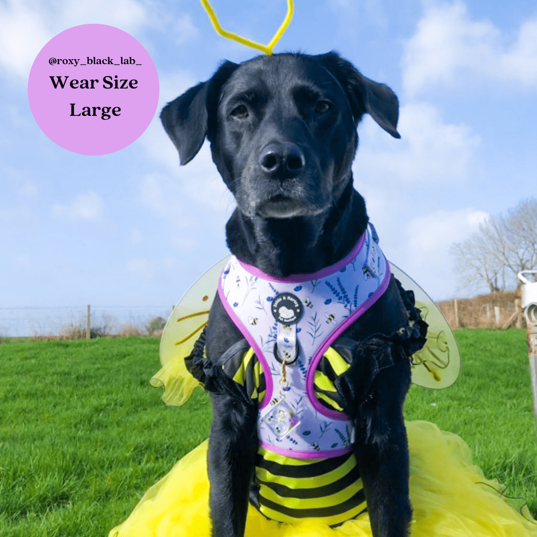 Zelda & Harley Harness Sweet as Can Bee - No Pull Adjustable Dog Harness