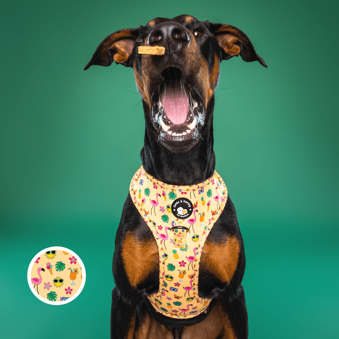 Adorable Dog Harness For Large Adorable Dog Harness Luxe