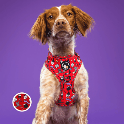 Hairy Pawter No Pull Adjustable Dog Harness The Dog Mom Store